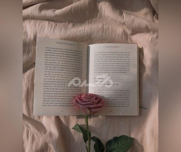 عکس کتاب برای پروفایل دخترونه صورتی