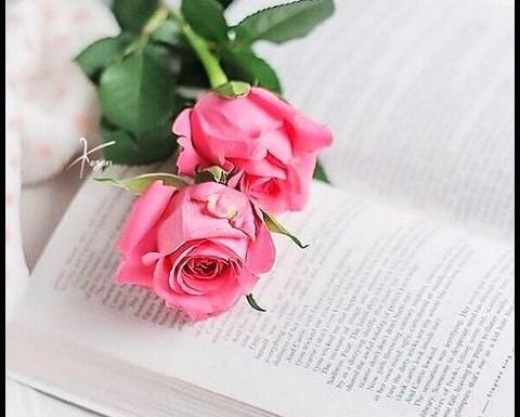 عکس کتاب برای پروفایل دخترونه صورتی