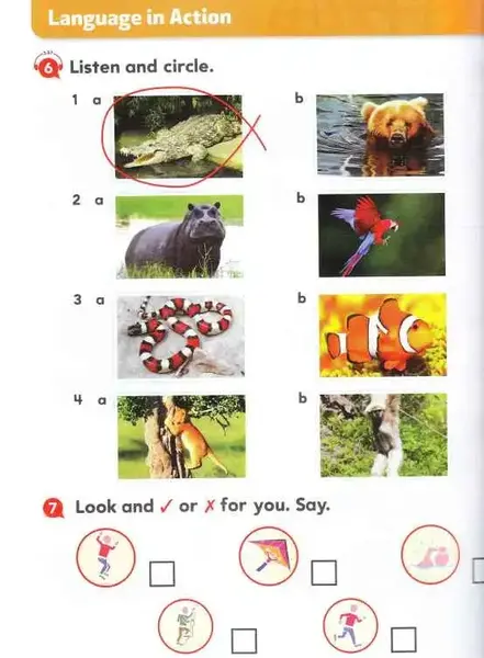 عکس کتاب بیگ استارتر