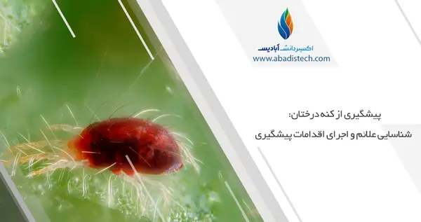 عکس کنه گیاهان