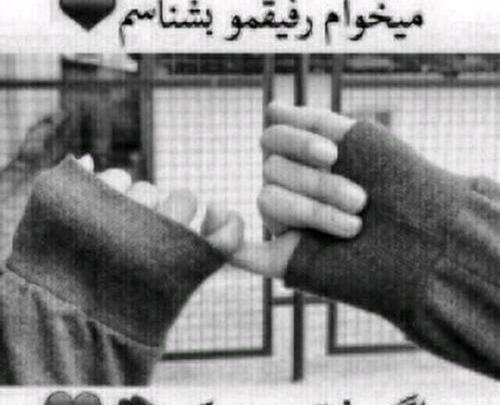 عکس دوسم داری ست کن