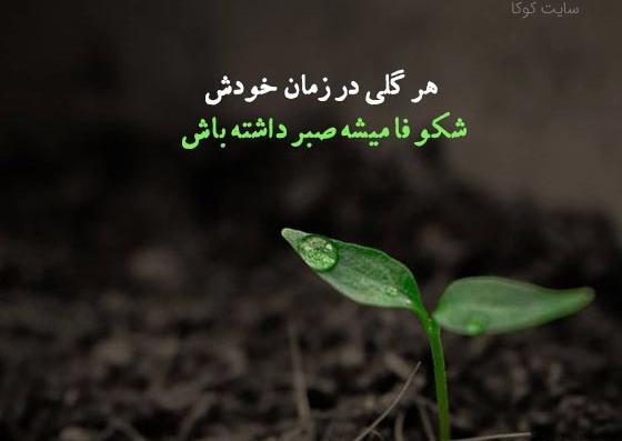 عکس نوشته صبوری کن
