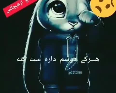 عکس هرکی دوسم داره ست کنه