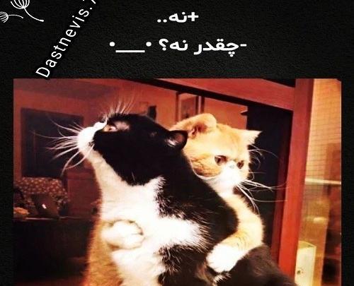 عکس هرکی دوسم داره ست کنه