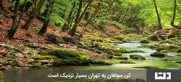 عکس های کن سولوقون