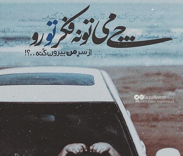 عکس کنه در سر