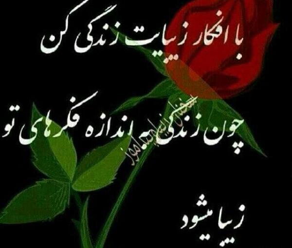عکس در لحظه زندگی کن