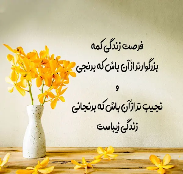 عکس در لحظه زندگی کن