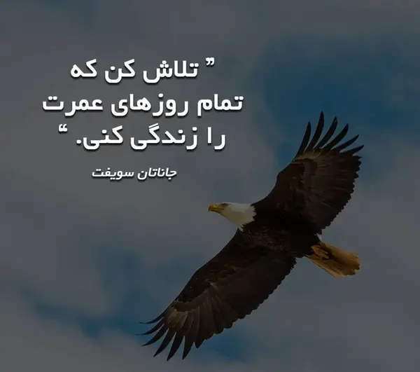 عکس در لحظه زندگی کن