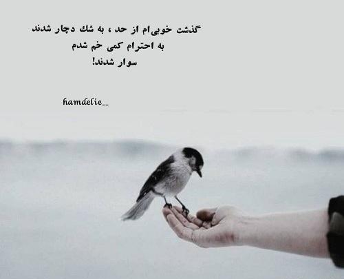 دانلود عکس پروفایل خوبی کردم بدی دیدم