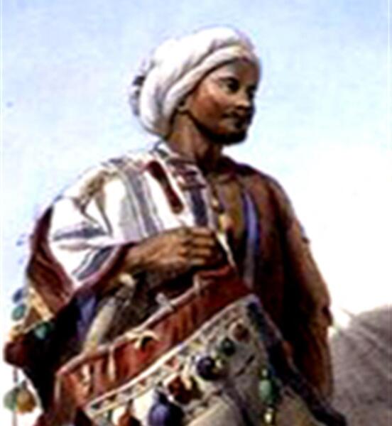 عکس پیرمرد خارکن