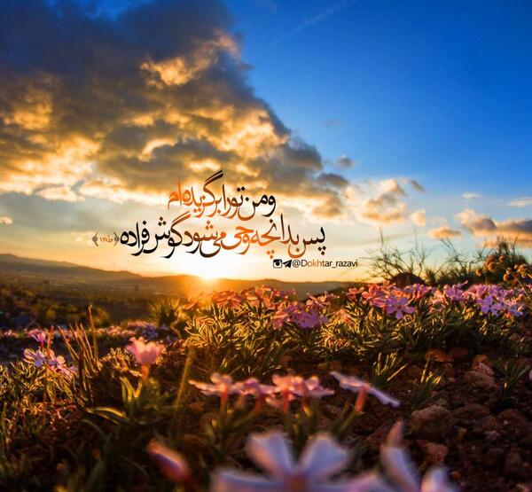عکس جور کنی