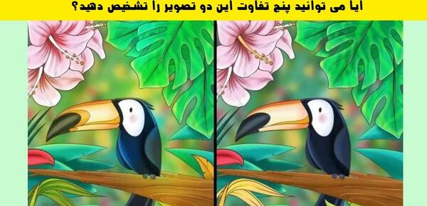اختلاف عکس را پیدا کنید