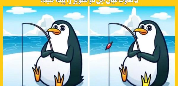 عکس تفاوت را پیدا کنید