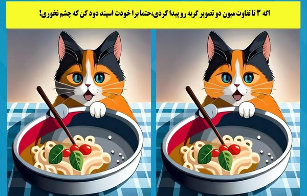 عکس تفاوت را پیدا کنید