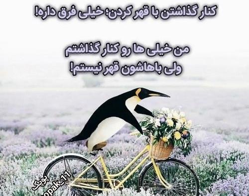عکس نوشته عشقم بیا اشتی کنیم