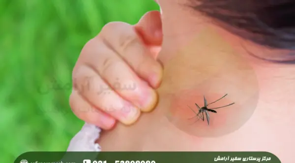 عکس کنه روی پوست انسان