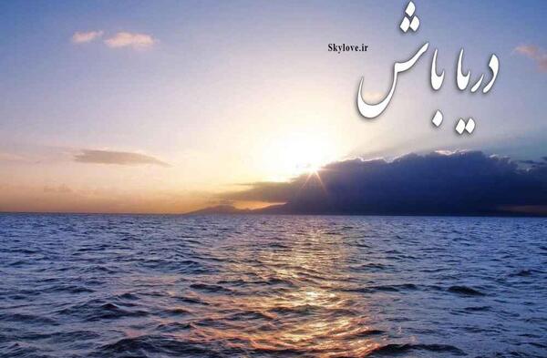 عکس کنه دریایی