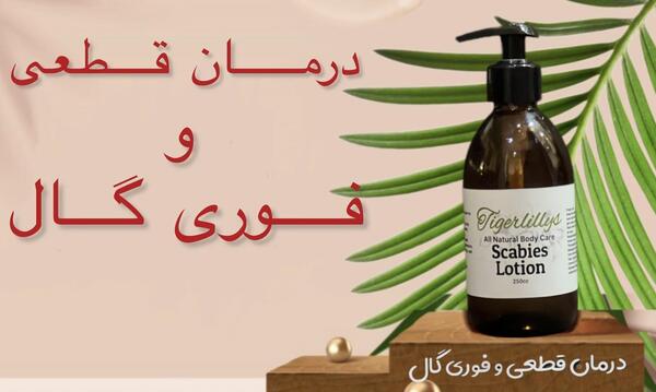 عکس کنه گال