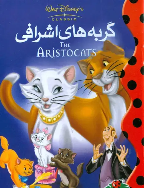 عکس گربه اشرافی واقعی