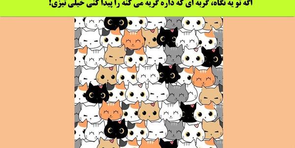 عکس گربه ای که گریه میکنه