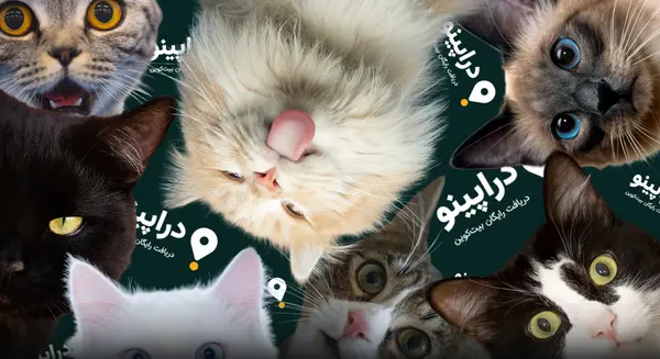 عکس گربه ایردراپ کتز