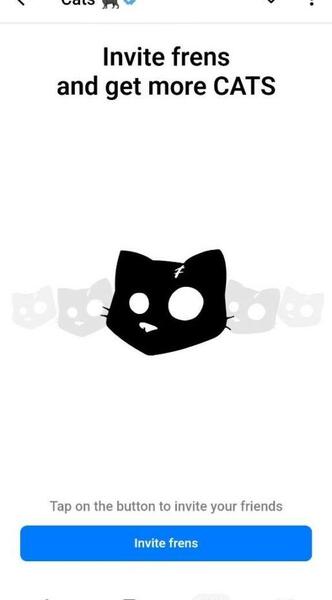 عکس گربه ایردراپ کتز