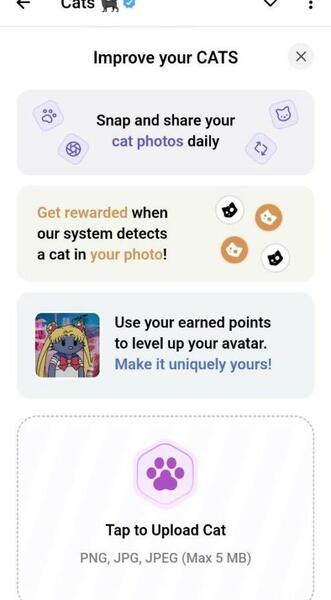 عکس گربه ایردراپ کتز
