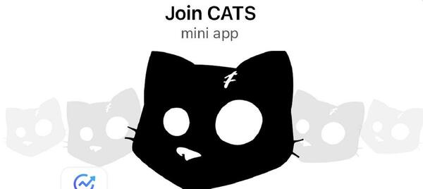عکس گربه ایردراپ کتز