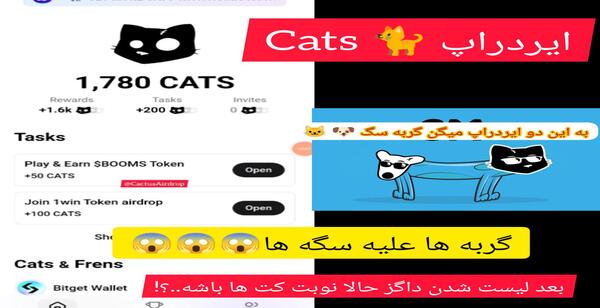 عکس گربه ایردراپ کت