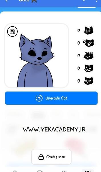 عکس گربه ایردراپ کت