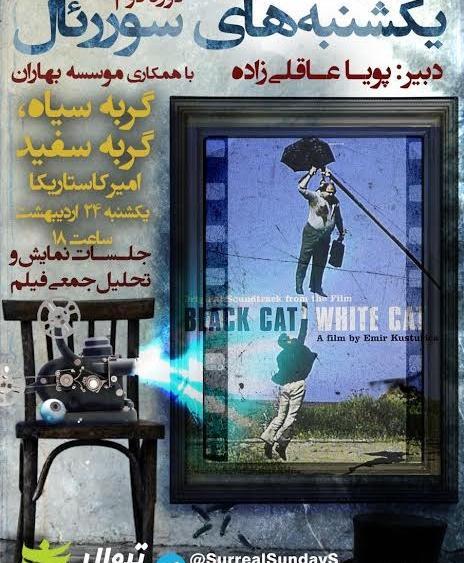عکس گربه سیاه آبی