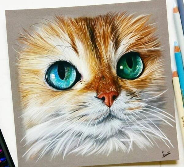 عکس طراحی گربه آسان