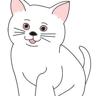 عکس گربه برای نقاشی آسان
