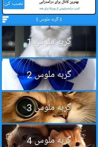 عکس گربه برای تصویر زمینه کیوت