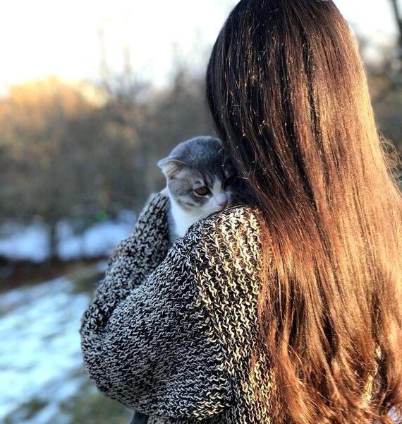 ملوس عکس گربه برای پروفایل دخترونه