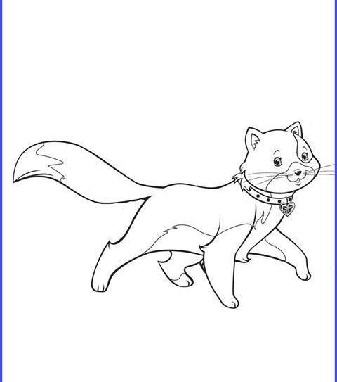 عکس گربه برای نقاشی کودکانه