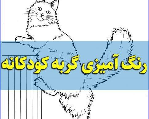 عکس گربه برای نقاشی ساده
