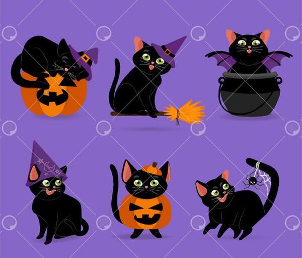 عکس گربه بنفش ترسناک