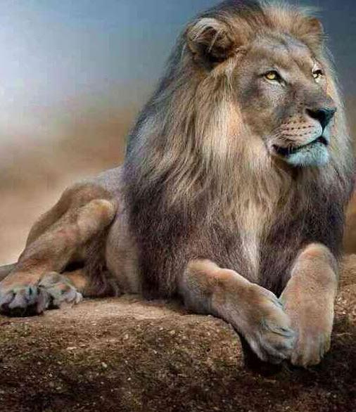 عکس کوروش کبیر برای تصویر زمینه گوشی