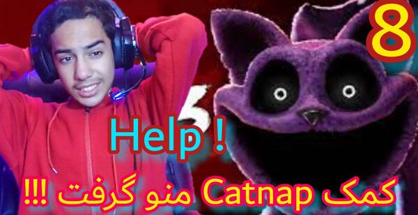 عکس گربه بنفش واقعی
