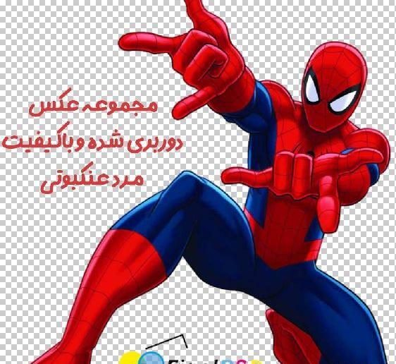 عکس کارتونی عنکبوتی