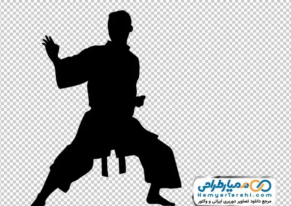 عکس کارتونی کاراته کار