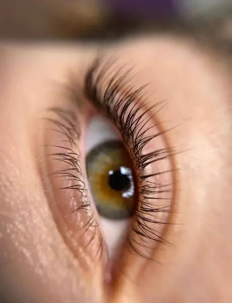 عکس کارتونی لیفت مژه و ابرو