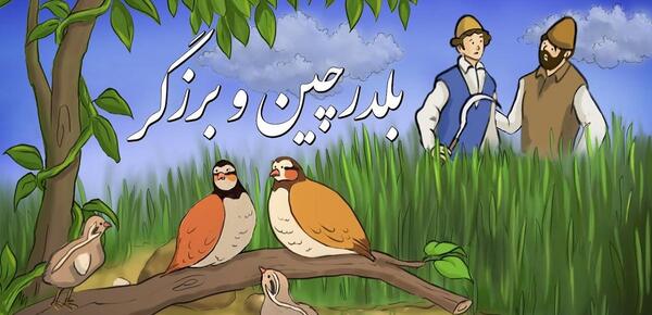 عکس کارتونی صورت بلدرچین