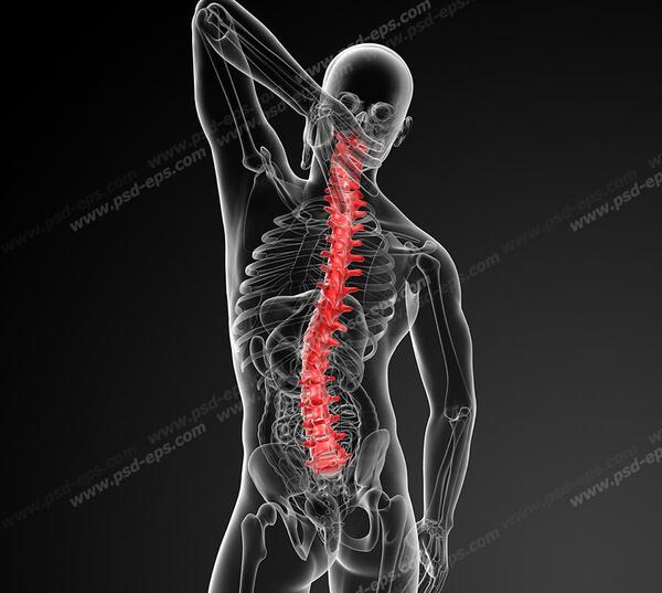 عکس کارتونی ستون فقرات