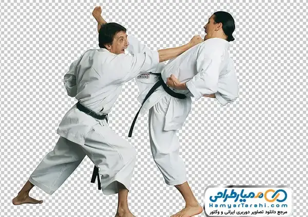 عکس کارتونی تکواندوکار