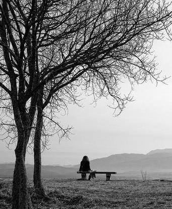 عکس تنهایی گربه سیاه