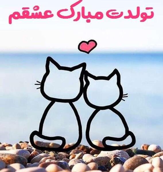 عکس گربه تولدت مبارک