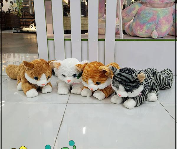 عکس گربه تک شاخ واقعی